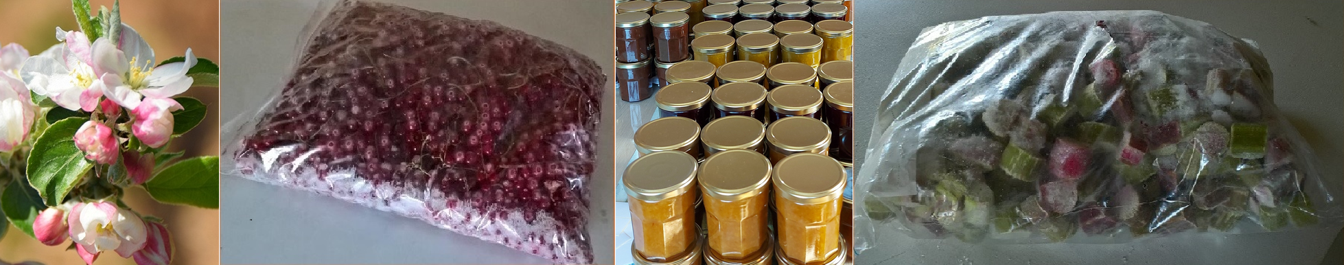 Van Bloesem tot Bokaal