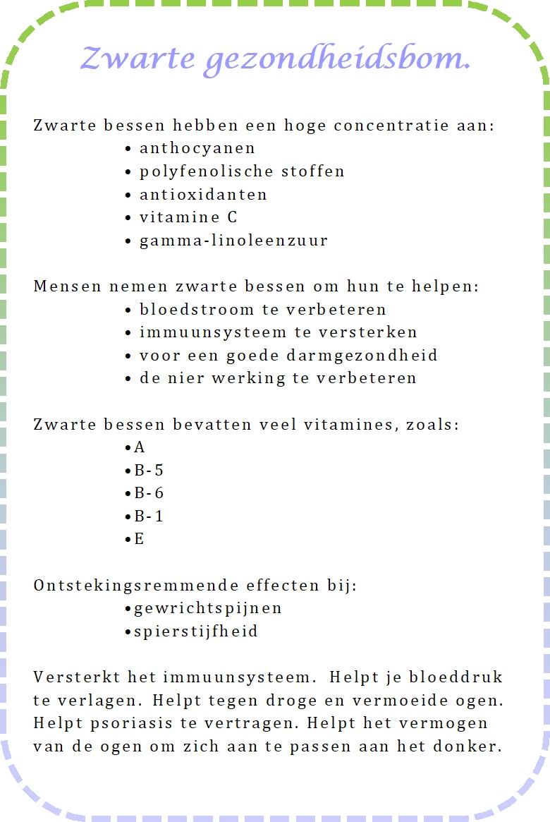 zwarte bessensap